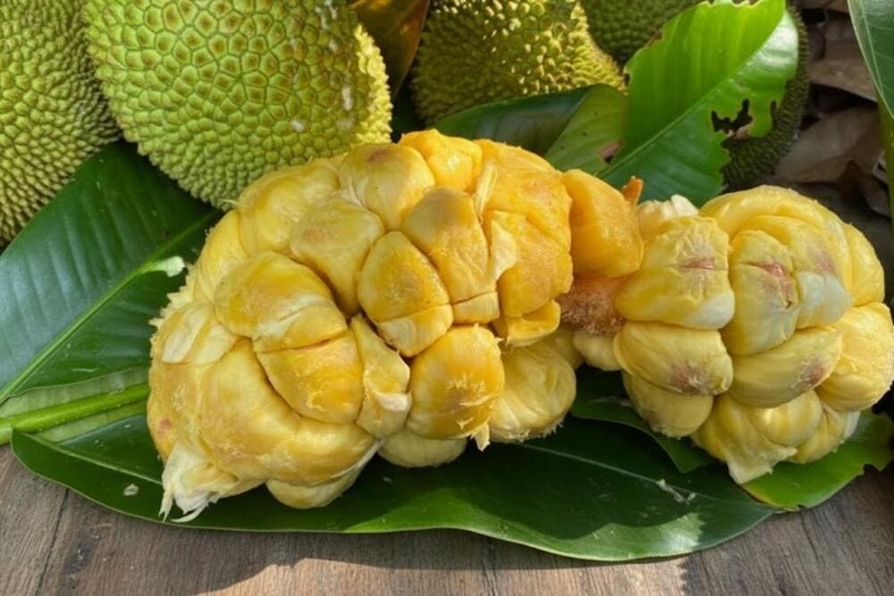 M&iacute;t thơm nức, cơm d&agrave;y, vị ngọt lịm, ăn một lần l&agrave; nhớ m&atilde;i hương vị.